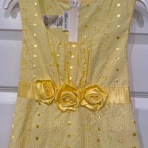 Big Girls Summer Dress by Bonnie Jean Sz 14